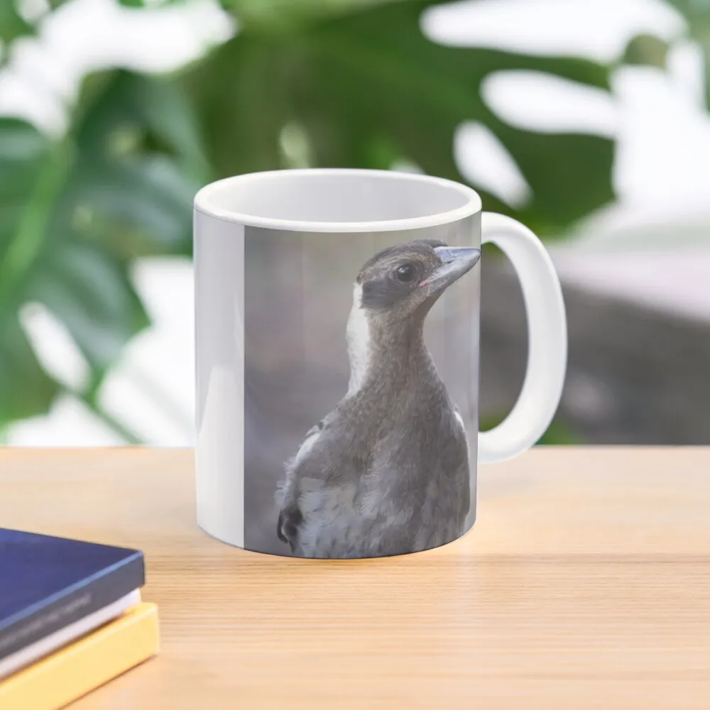 

Australian Magpie Coffee Mug Mate Cups Funny Cups Mug