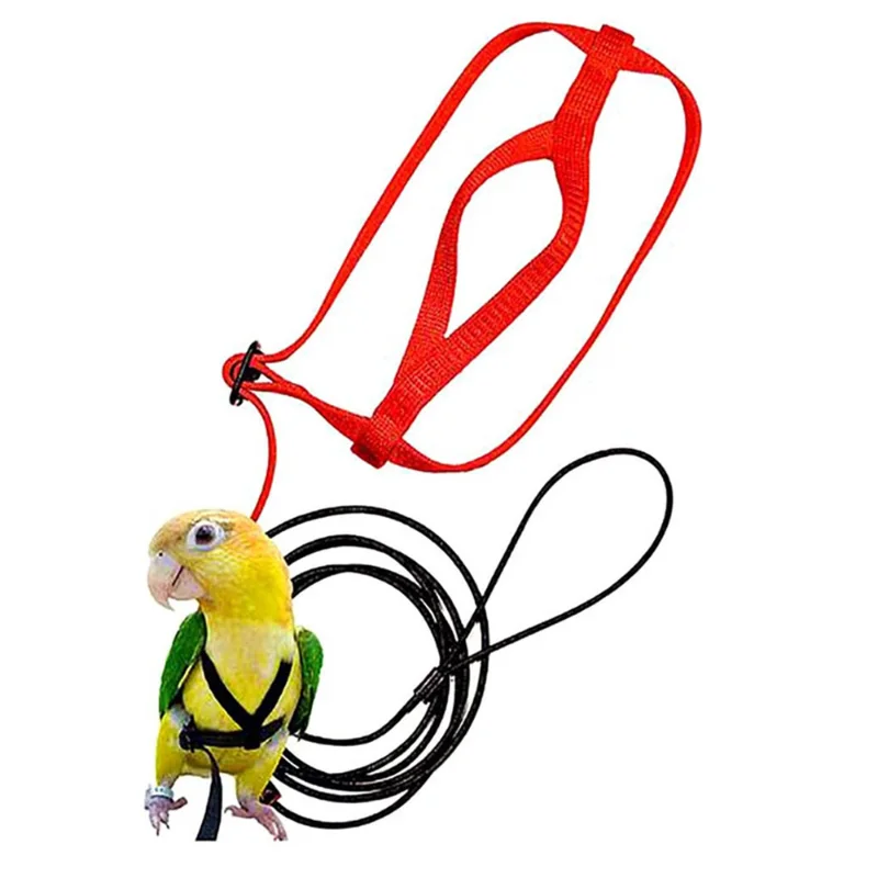 

Parrot Bird Harness Leash Outdoor Flying Traction Straps Band Adjustable Anti-Bite Training Rope Animalerie Supplies