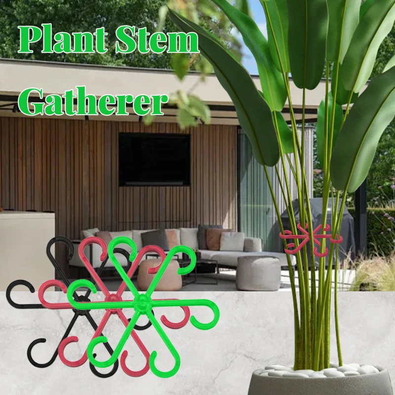 Reusable Plant Stem Support Frame 2