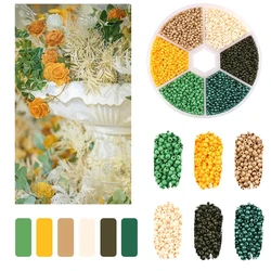 Vibrant Glass Seed Beads Collection for DIY Jewelry and Art Crafts (Autumn floral)