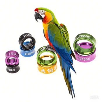 10Pcs Aluminum Parrot Leg Rings Pigeon Foot Rings Bird Parrot Feeding Identification Outdoor Flying Training Tools Bird Supplies 1