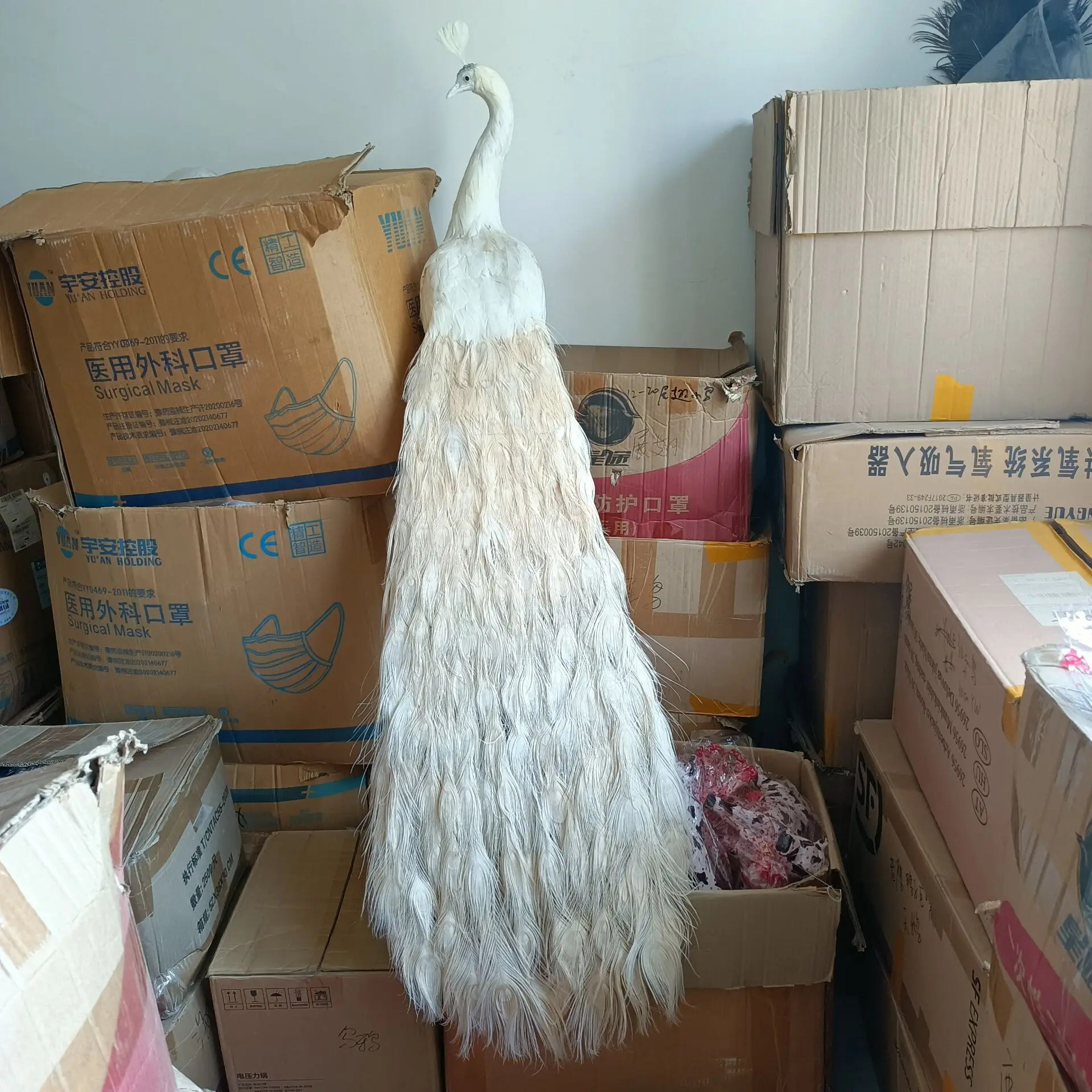 

long tail simulation foam&feathers white peacock model garden decoration gift about 150cm s2710