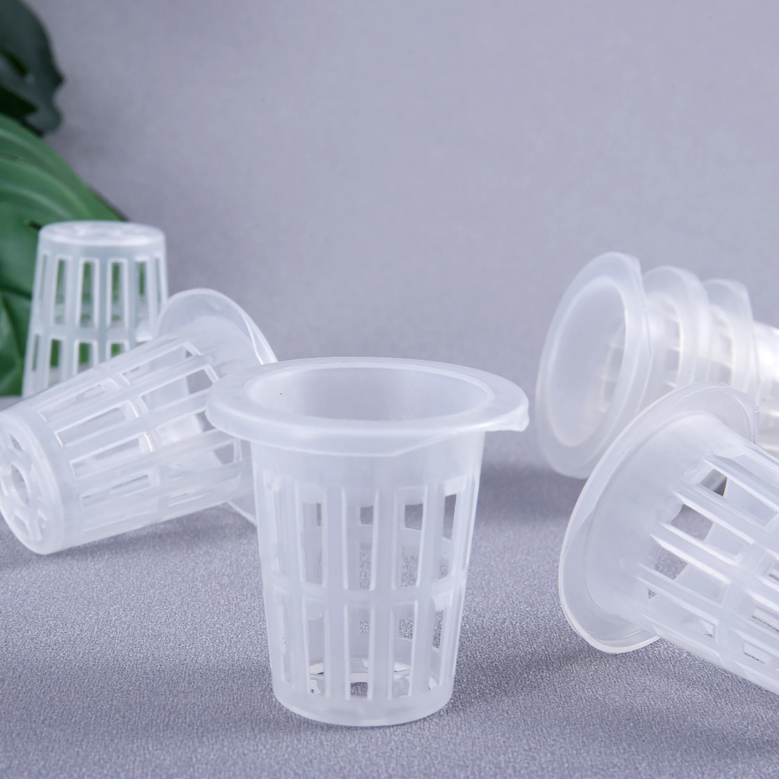 Nursery Pots Plant Propagation Pots Hydroponic Plant Pots 20/50Pcs Hydroponic Planting Basket Soilless Cultivation Net Pots Plant Vegetable Growing Nursery Cup Sponge Fixator Container