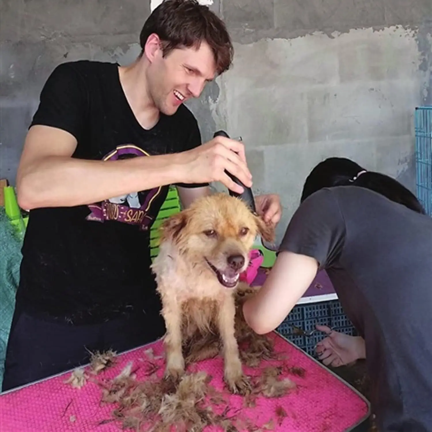 Professional Pet Clipper Replacement A5 Blade Compatible With Andis/Oster A5/Wahl KM Series Dog Cat Clippers