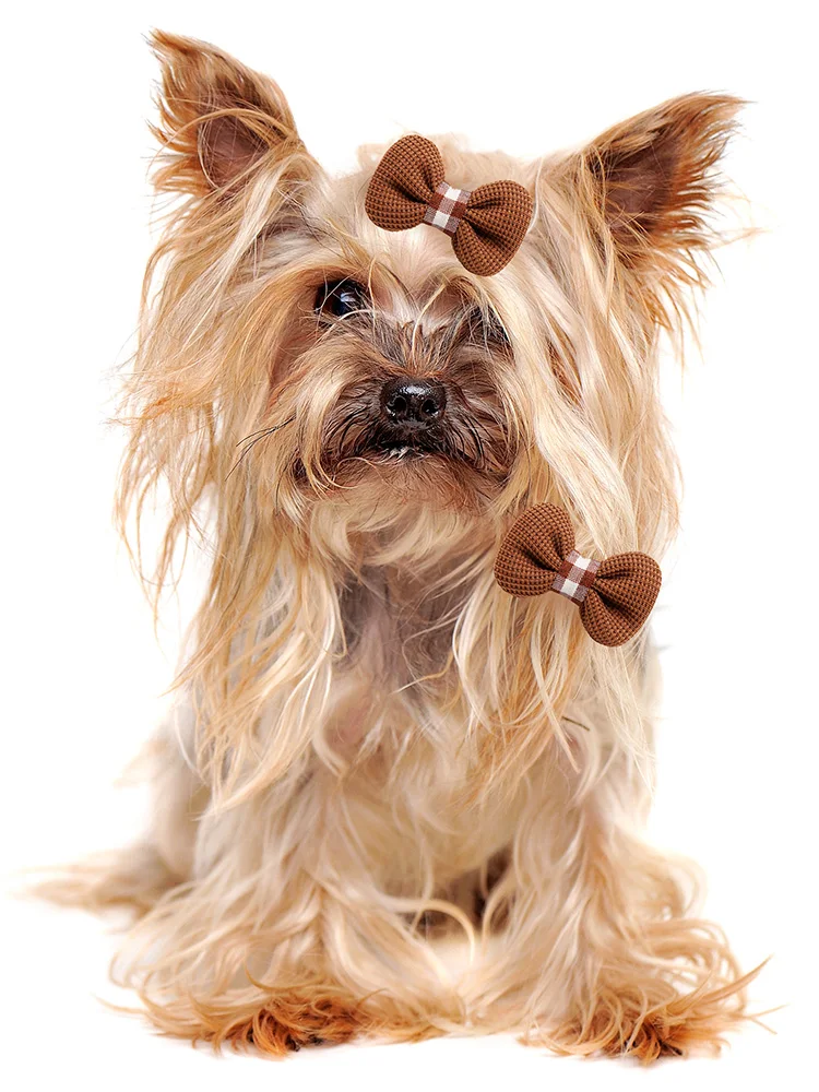 Fiocchi Per Peli Di Cani Da Compagnia Fiocchi Per Capelli Colorati