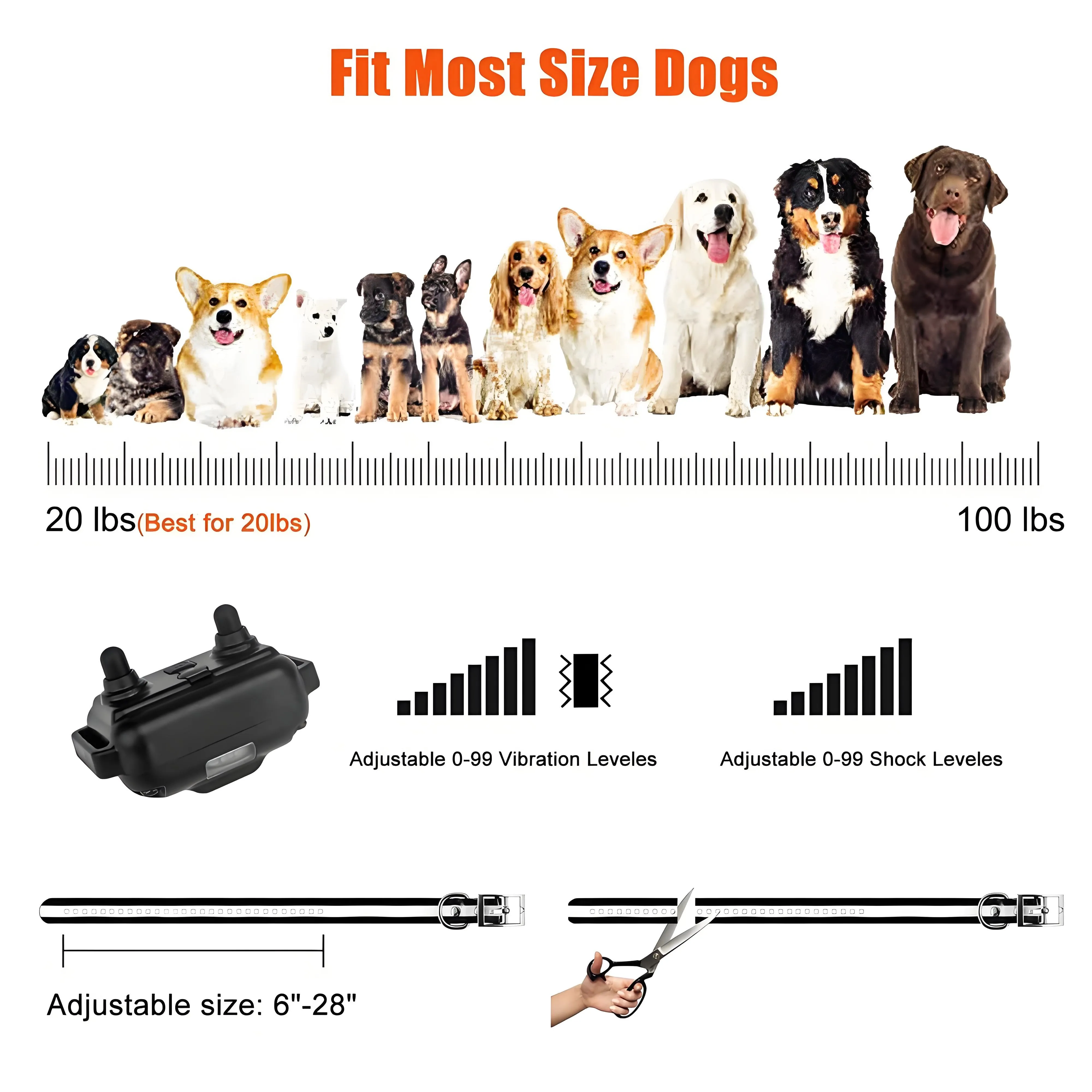 800m Dog Training Collar 5