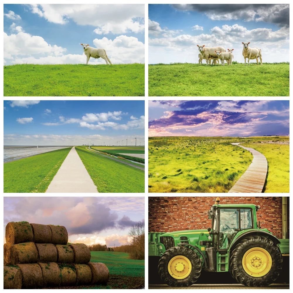 

Farm Green Grass Real Landscape Photography Backdrop Spring Cloudy Outdoor Scene Photographic Photocall Background Photo Studio