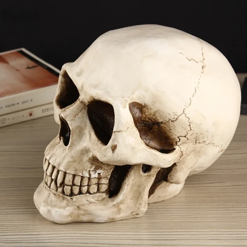 Skull Piggy Bank Creative Retro Piggy Bank for Adults Paper Money Cash American Large Coin Box Money Bank Birthday Gift 5
