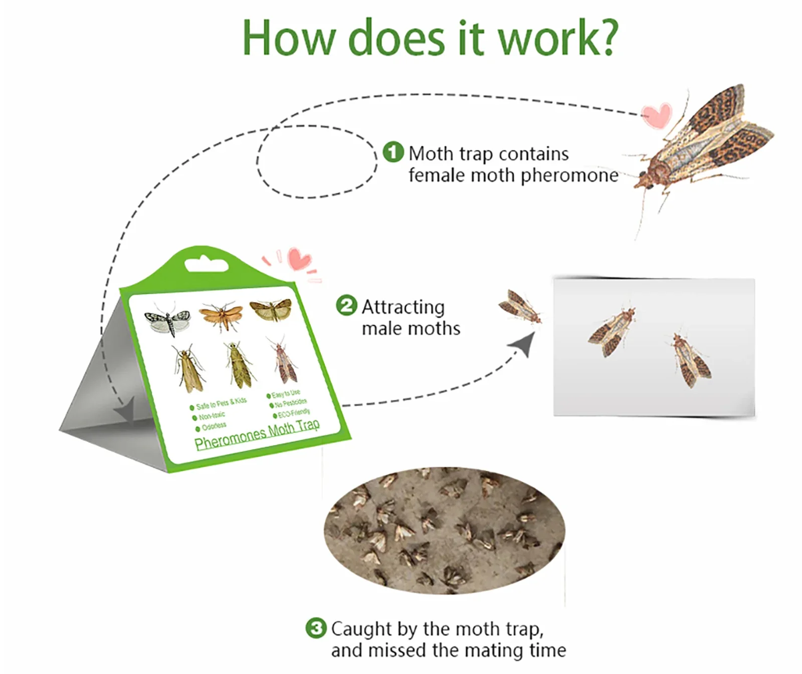Moth trap Pantry clothes kitchen food Indian Moth sticker killer Sticky glue pheromone for home restaurant pest control