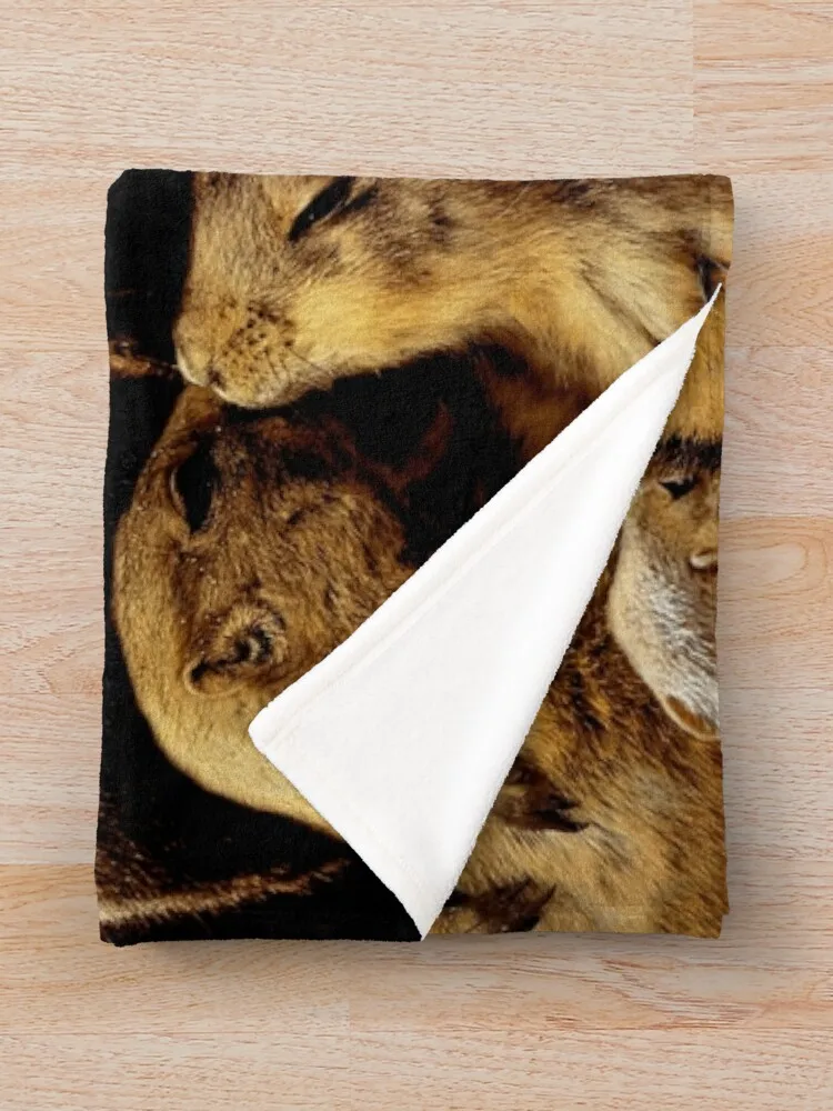 ������ ���� �ܿ� �ܿ� ħ�� ��並 ���� ���, ������