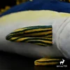 Yellow Fin Tuna High Fidelity Anime Cute Plushie Allison Tuna Fish Plush Toys Lifelike Animals Simulation Stuffed Doll Kawai Toy 5