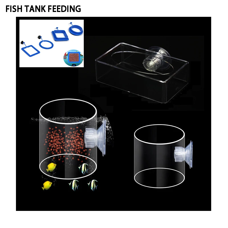 Anti-schwimmender Futterring Für Aquarien - Transparenter Futterspender Gegen Futterverschwendung