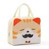 Cute Children Lunch Bag Cartoon Thermal Insulated Box School Portable Kids Handbag Outdoor Waterproof Picnic Lunch Bags Сумки 5