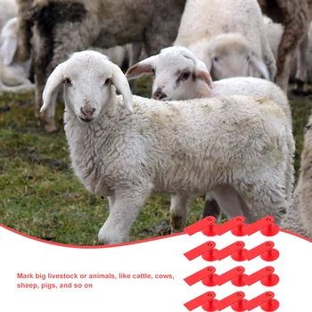 100pcs Sheep Ear Tag Calf Goat Pig Cow Label Plastic Kit Durable Lightweight Tracking Prevention Control Quarantine Animal ID 1