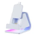 Charging Dock White