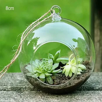 Hanging Glass Ball Terrarium 1