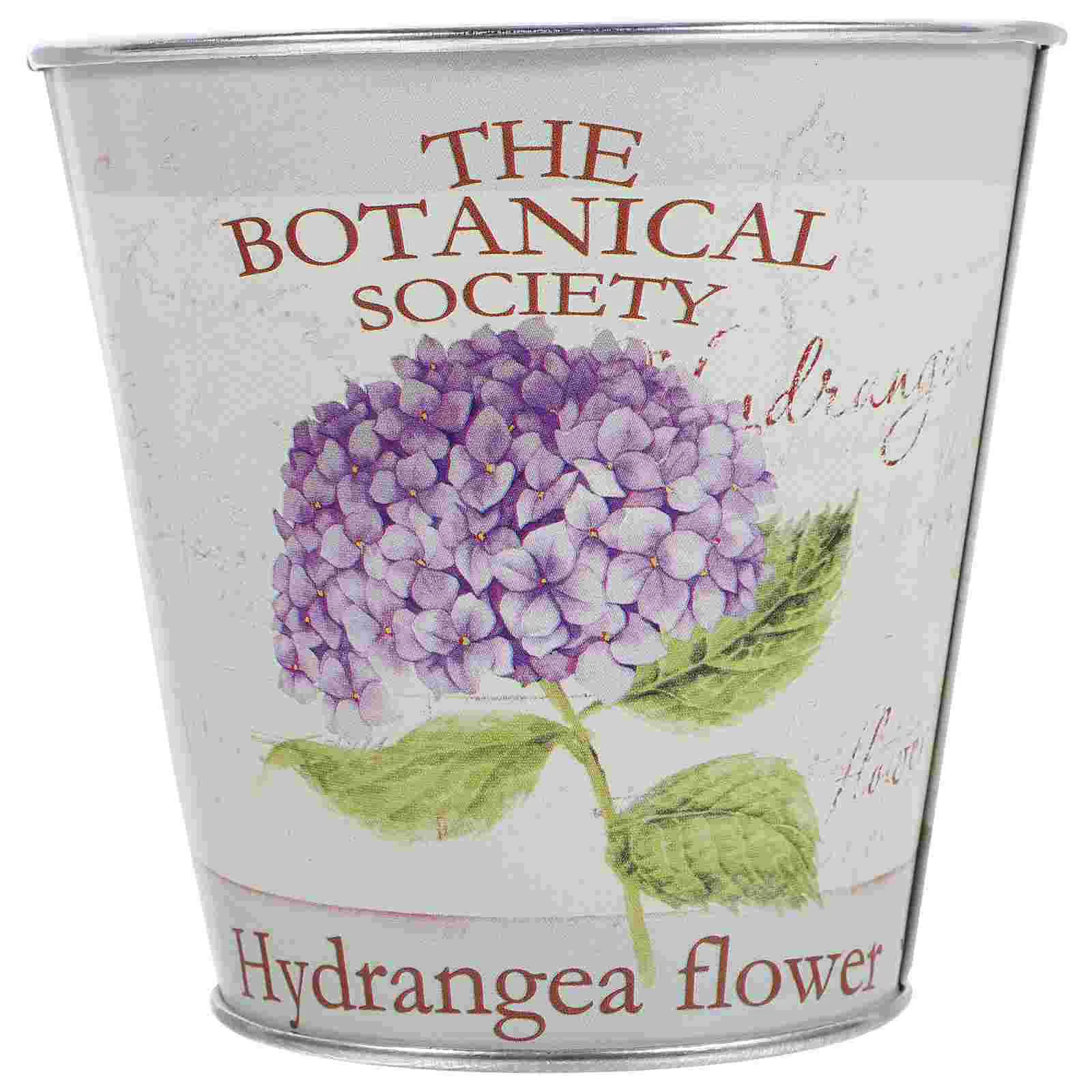 

Succulent Flower Pot Patio Table Decorations Outdoor Portable Plant Planter Asethic Room Dried Iron