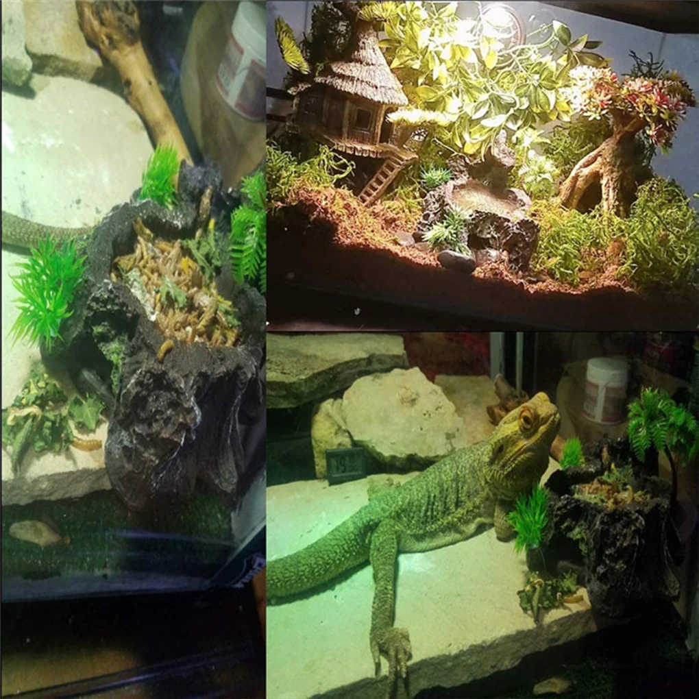 Sturdy Reptile Feeder Bowl for Feeding Sessions Easy To Clean Reptile Food Water Dish