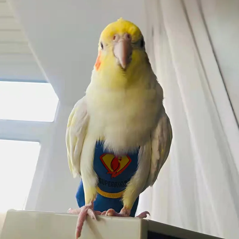 

Pet Parrot Clothes Bird Overalls