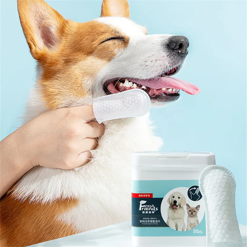 Toallitas Y Guantes Desechables Para Mascotas - Antisépticos, Para Baño Y Aseo De Perros Y Gatos