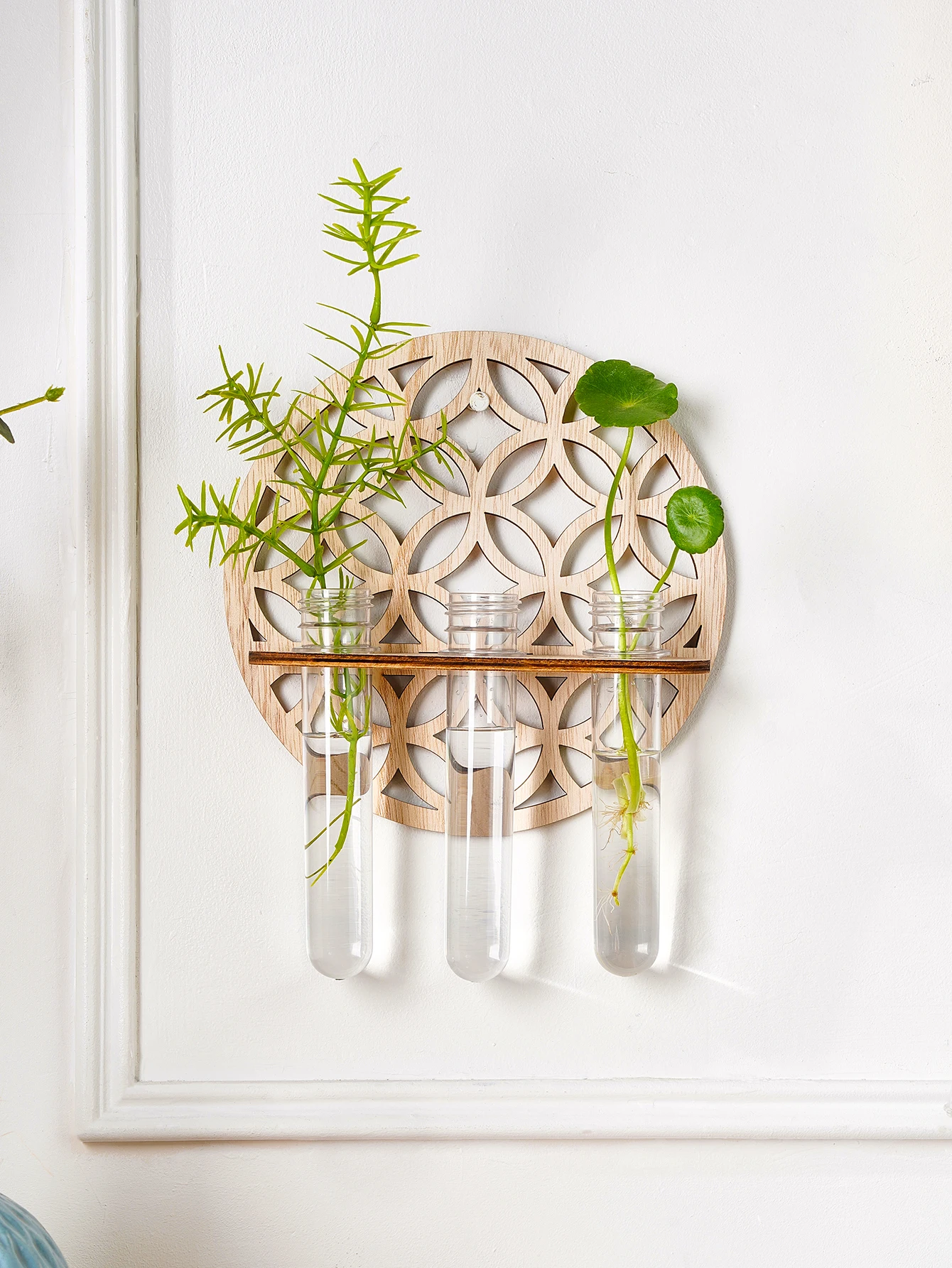 1PC Indoor Plant Wall Mounted, Wall Mounted Plastic Test Tube with Wooden Rack for Unique Gardening Plant Lovers