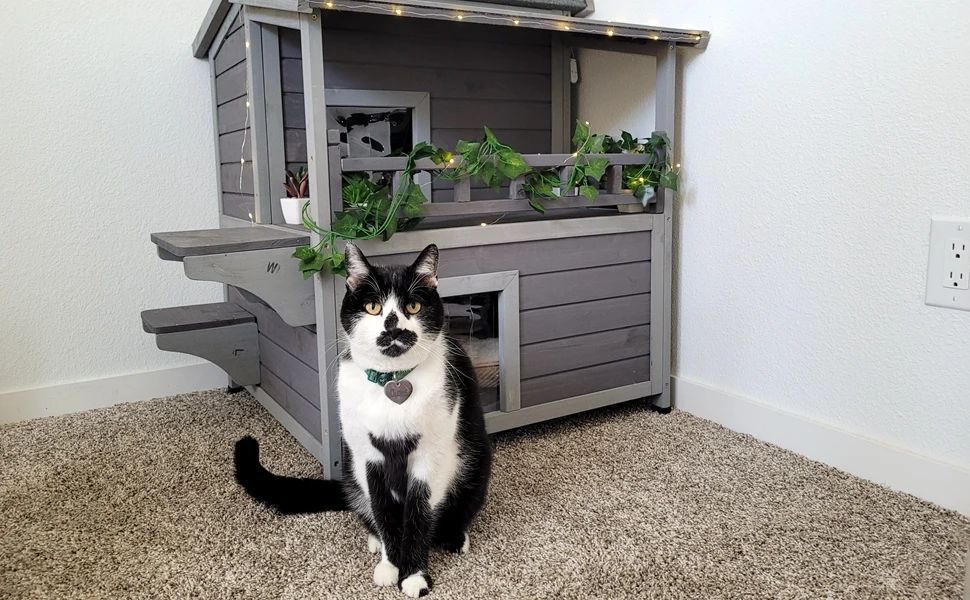 cat house