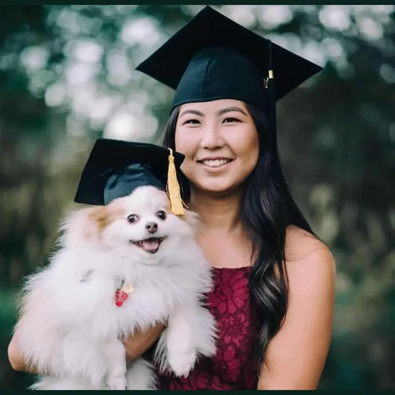 Dog Graduation Cap and Gown Cat Graduation Cap and Gown Pet - Etsy | Cap  and gown pictures, Graduation cap and gown, Cap and gown