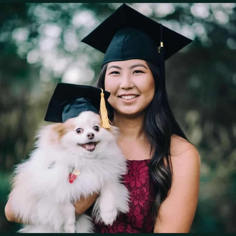 Pet Dog Animal Doctor Hat Cap | Graduation Degree Degree | Graduation Hats  Dogs - New - Aliexpress