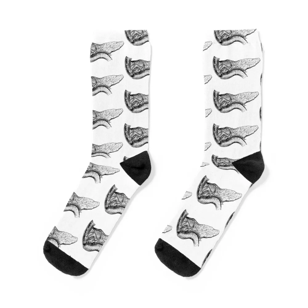 

Pancreas and Duodenum Pen and Ink Sketch Socks floral winter gifts Socks Woman Men's