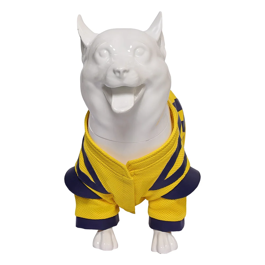 Deadpool and Wolf Logan Dog Cosplay Costume – Super Villain Transformation!