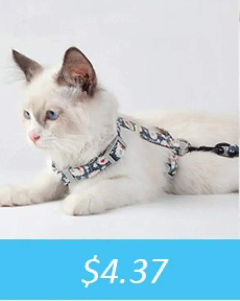 350ml Travel Slow Food Bowl for Small & Large Dogs, Foldable Pet Feeder with Buckle