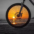 Shop XINC bicycle Store