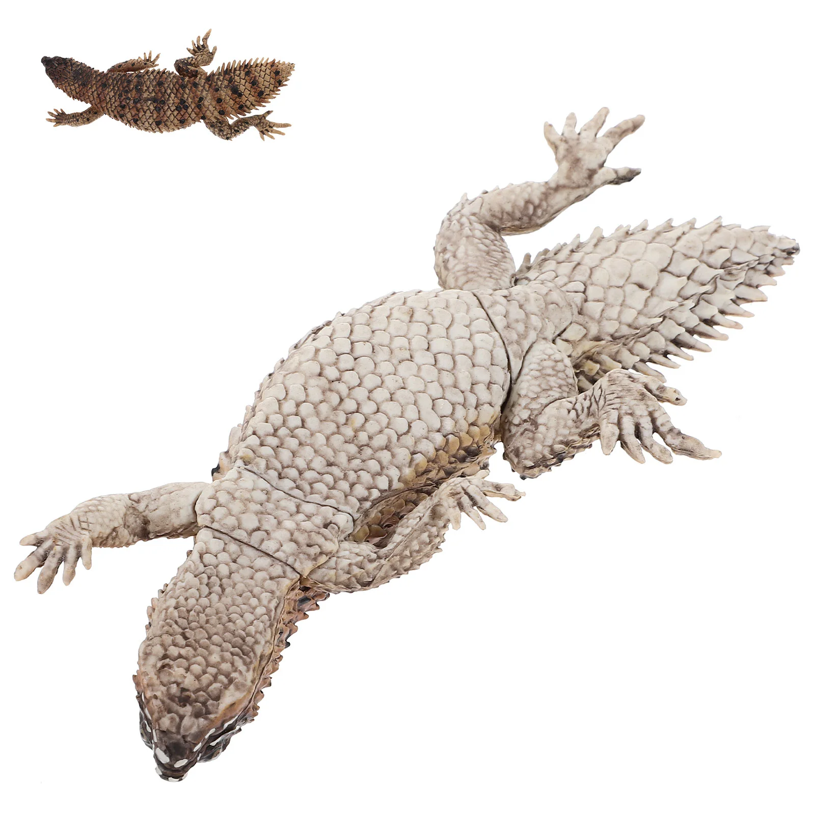 

Realistic Simulated Lizard Model Plastic Simulated Lizard Model Artificial Animal Model Lizard Model