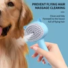 Pet Massage Comb USB Electric Self-cleaning Cat Steam Brush Cartoon Cat Long Handle Hair Remover Comb Dog Grooming Accessories 1