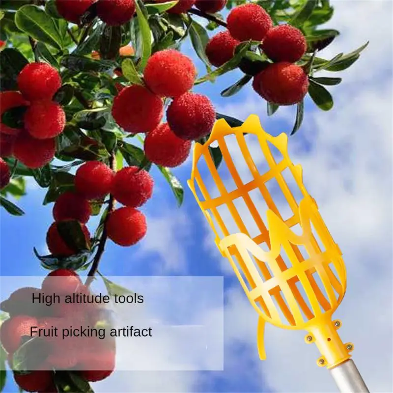 Plastic Fruit Picking Tool Garden Basket Fruit Picker Head High-altitude Fruit Picker Picking Loquat Picking Bayberry Tool Plastic Fruit Picking Tool Garden Basket Fruit Picker Head High-altitude Fruit Picker Picking Loquat Picking Bayberry Tool