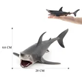 Shark-2