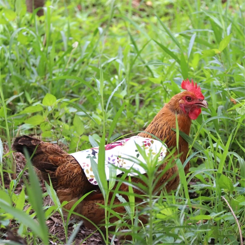 Chicken Saddle Hen Apron Feather Fixer Wing Back Protector for Poultry Protect Back and Wing Quilted Lining