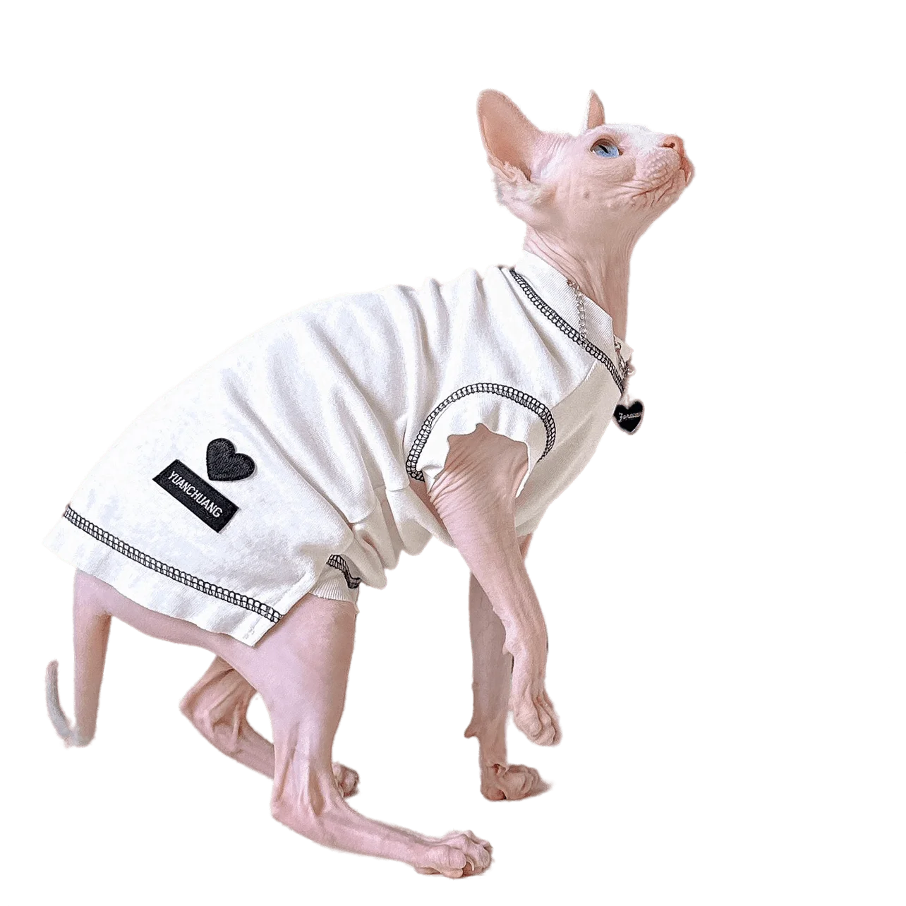 Waffle Pattern Cat sweater Autumn winter thick warm Sphynx cat costume  Scarf Shirt pet clothes winter jacket for Hairless Cat