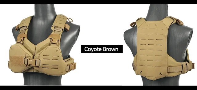 Coyote Brown