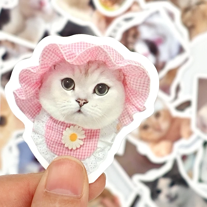 50 PCS Cute Cat Stickers Waterproof Vinyl Kawaii Stickers for Water