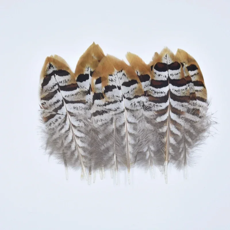Natural Pheasant Peacock Feathers for Needlework Handicraft Accessories Feather Decor Wedding Carnaval Decoration