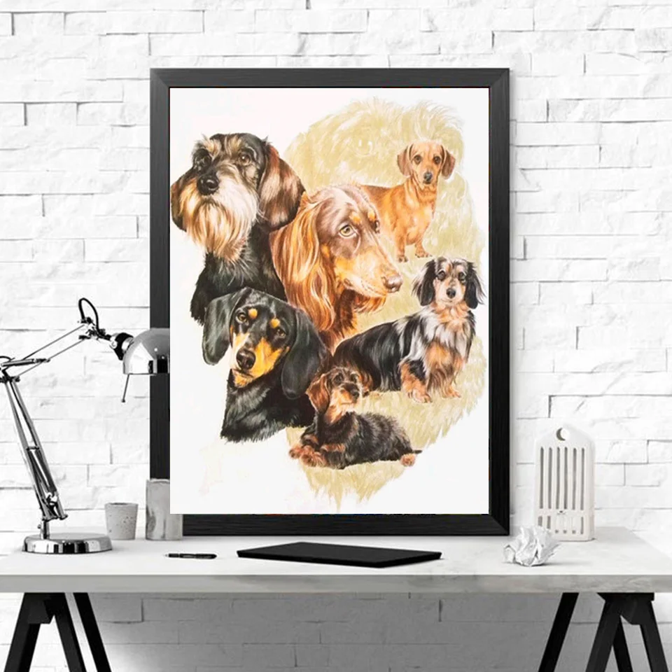 k.jpg_.webp k.jpg_.webp