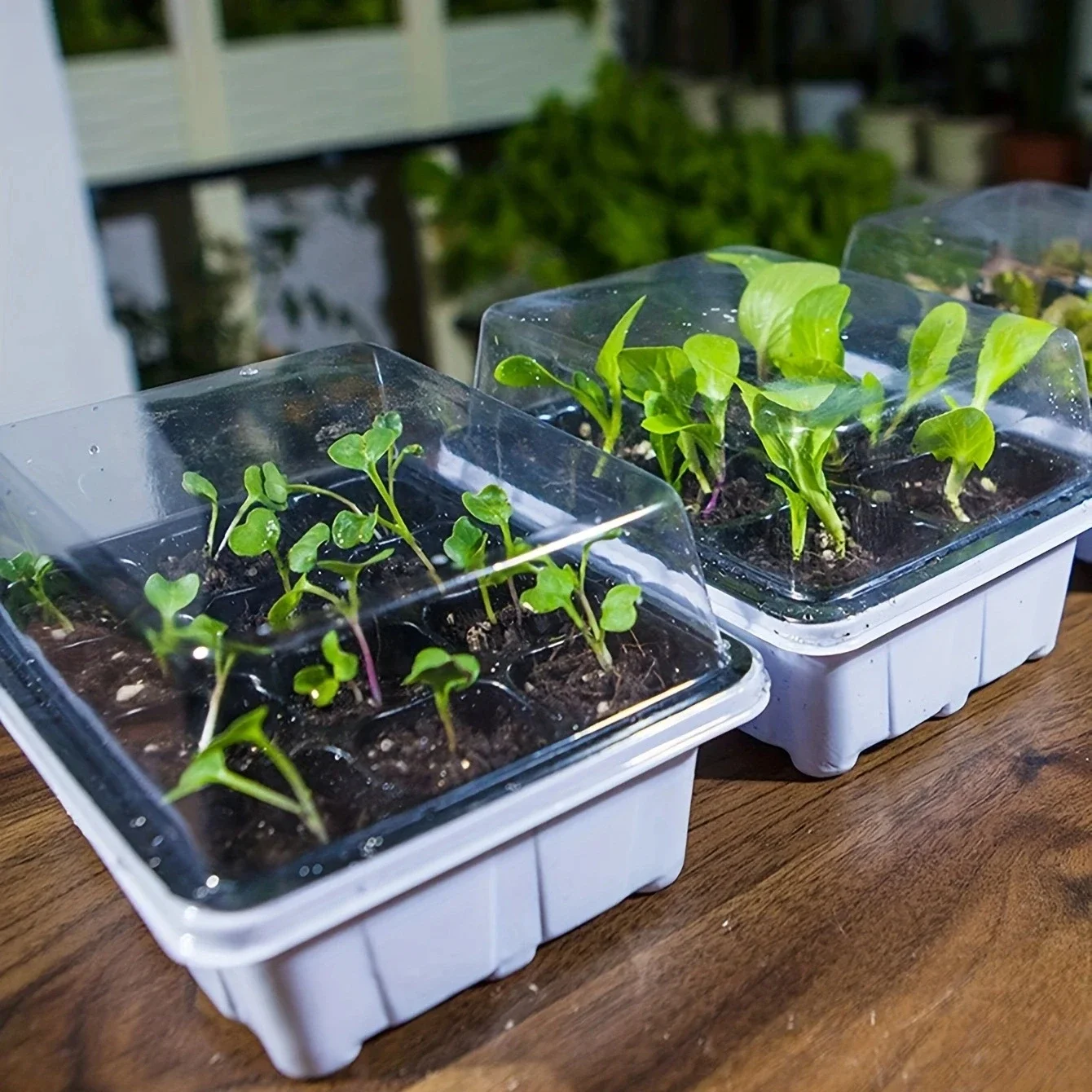Plastic Seedling Box With 12 Holes 3/6pcs With Sowing And Hole Tray seed starter tray,seedling tray
