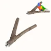 2Pcs Wood Parrot Bird Stand Tree Branch Rack Hanging Toys Squirrel Hamster Branch Perches Chew Bite Toys Stick 5