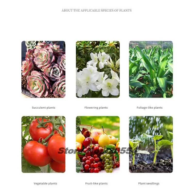 200g New envelope nitrogen fertilizer Universal slow-release fertilizer for home gardening potted plants