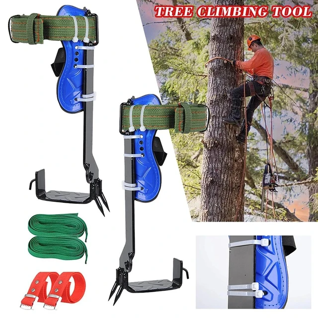 Tree Climbing Tool, Tree Climbing Gear 304 Stainless Steel Climbing Tree  Shoes Non-Slip Tree Climbing Spike Set, for Rock Climbing Hunting(Two Teeth)