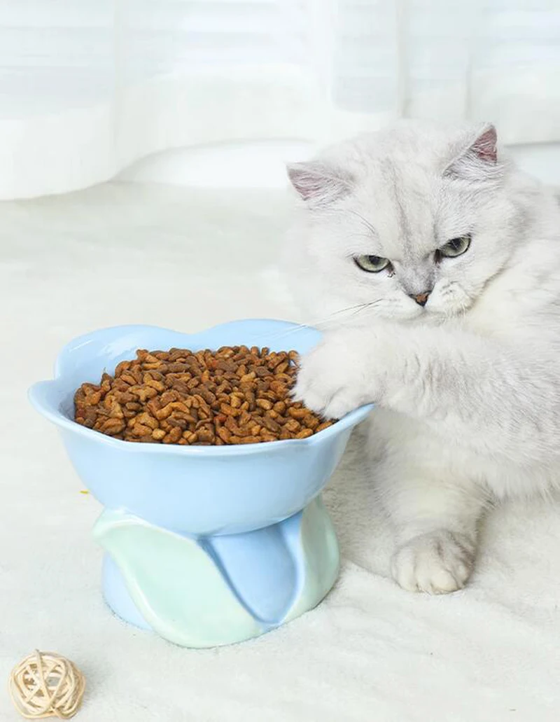 Flower Shape Ceramic Protection Bowl Lovely Large Caliber Drinking Water Food Dog Cat - PeticaDeals