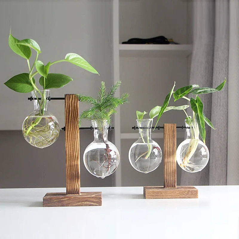 Hydroponic Flower Pot Flower Pot Flower Vase Plant Pot Terrarium Plant Vases Hydroponic