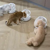 Smart Chip Recognition Pet Feeder Auto Food Dispenser for Multiple Cats and Dogs Anti Theft Eating Microchip Feeder 5