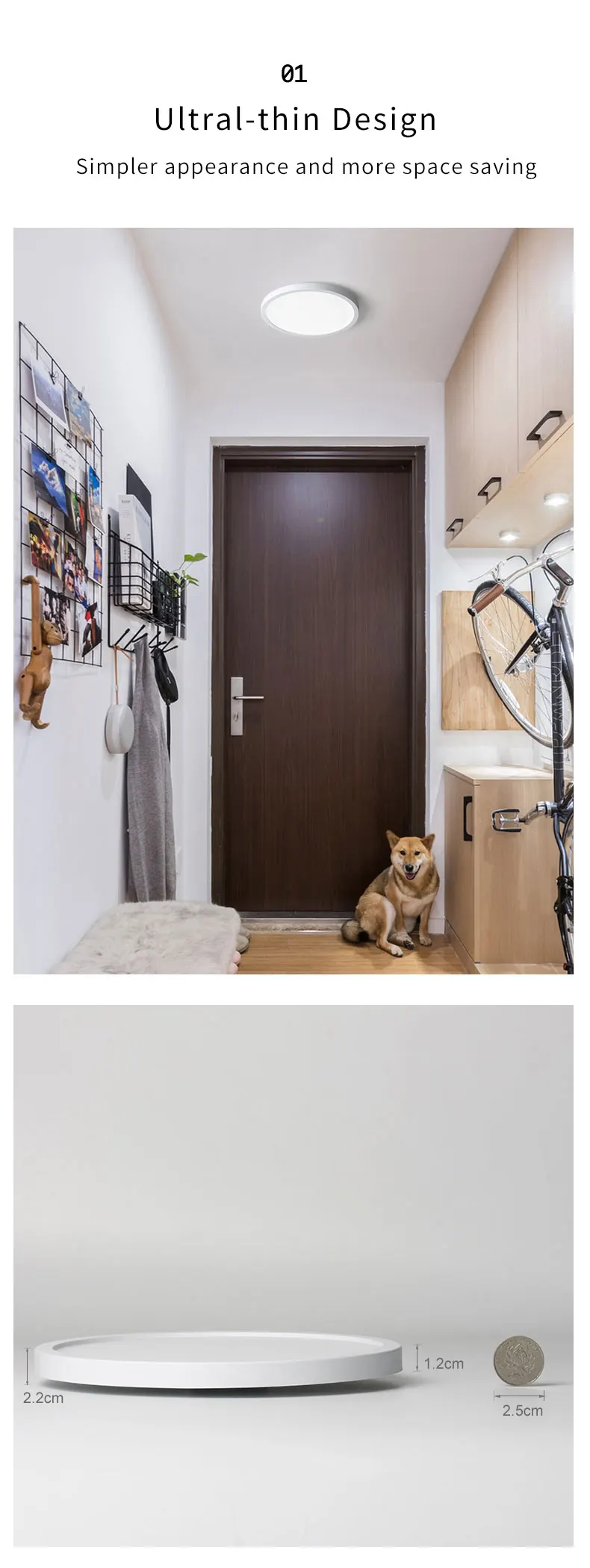 Description Picture 3 of itemLED Ceiling Light Modern Small Round 6W 9W 13W 18W 24W 110V 230V Led Panel Light For Toilet Porch Utility Room Bathroom Lamps